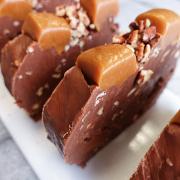 Sliced Turtle Fudge