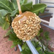 Peanut Caramel Apple