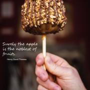 Photo of a Turtle Caramel Apple